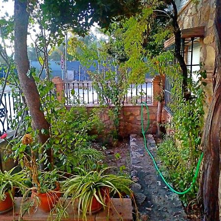 Casa Rural Zarco Miralles Melegis Dış mekan fotoğraf